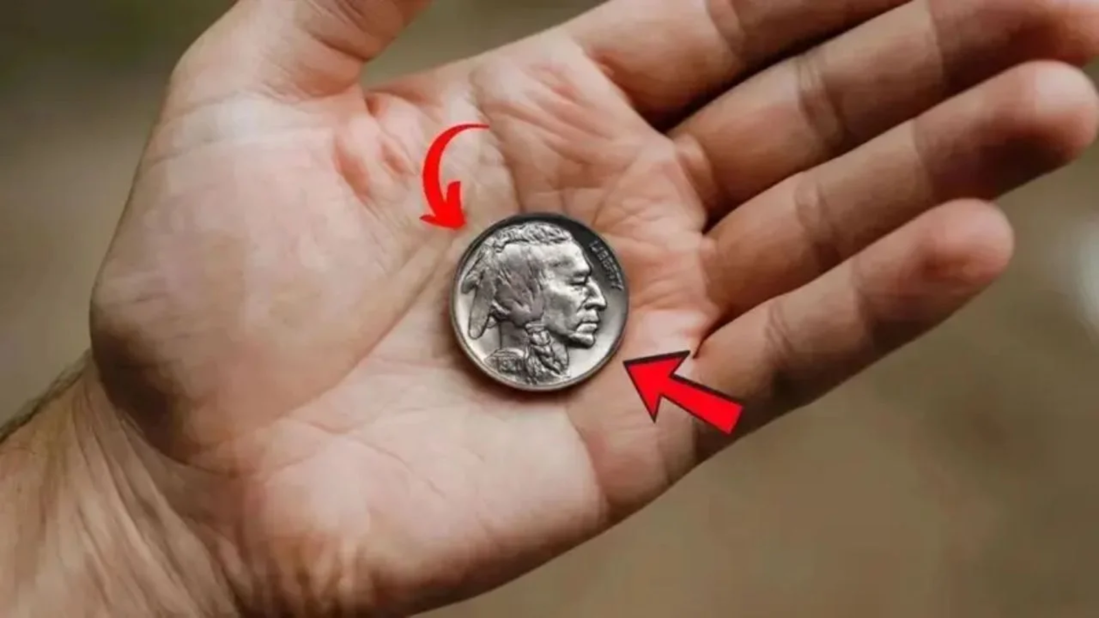 The Million-Dollar Buffalo Nickel