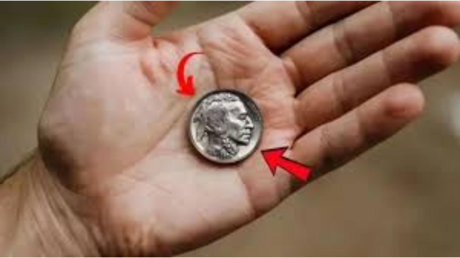 The Million-Dollar Buffalo Nickel