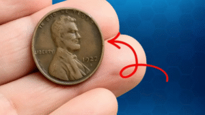 Lincoln Wheat Penny Worth $13.7 Billion